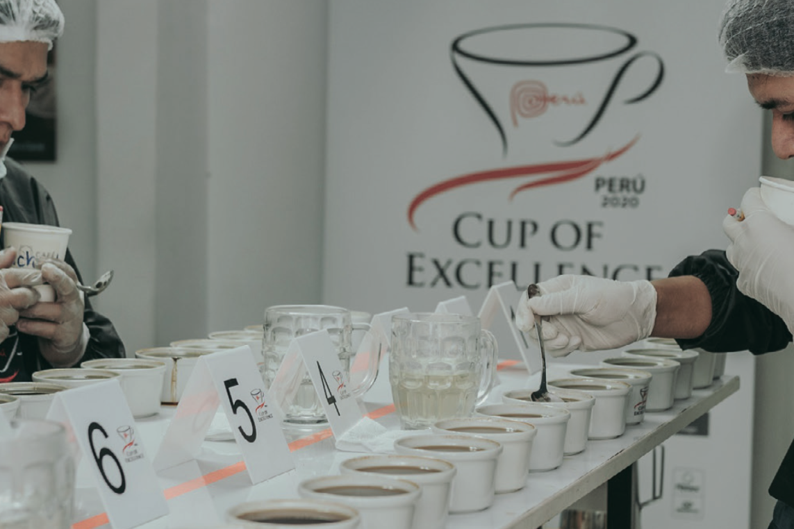nuevo-cafe-peruano-forum-cafe