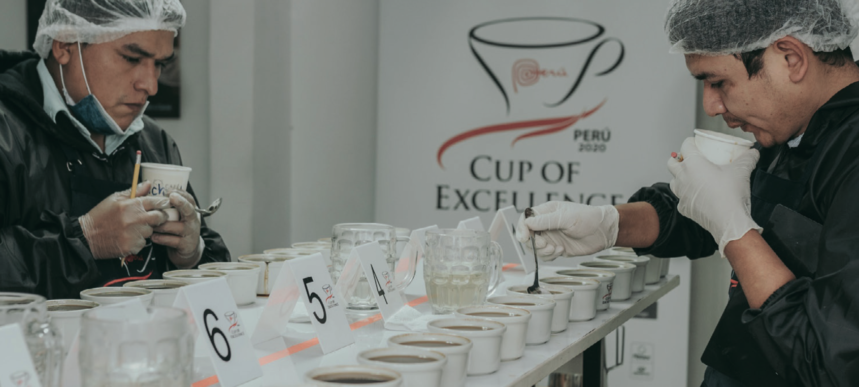 nuevo-cafe-peruano-forum-cafe