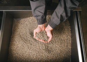 Análisis del café verde mediante sensores e inteligencia artificial