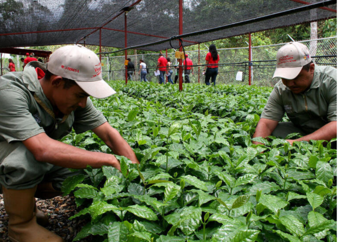 Fórum Banner Blogs (2)